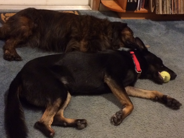 Belle and Emma sleeping